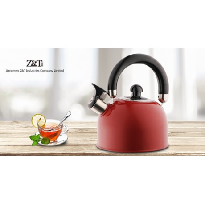 Stainless steel kettle_(3)
