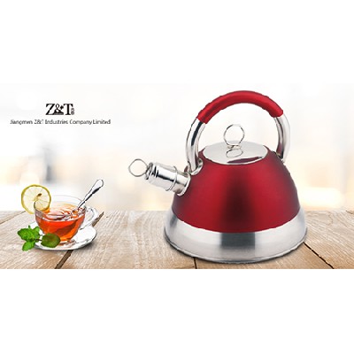 Stainless steel kettle_(4)