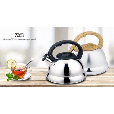 Stainless steel kettle_(9)