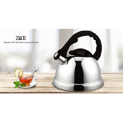 Stainless steel kettle_(17)