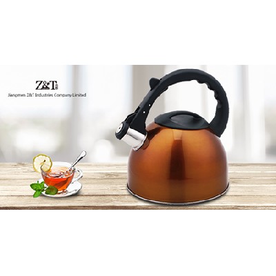 Stainless steel kettle_(18)