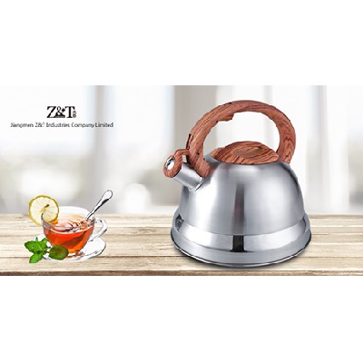 Stainless steel kettle_(20)