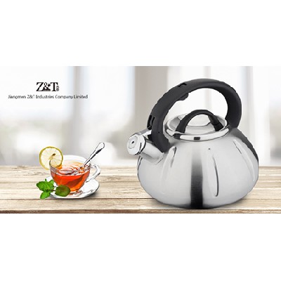 Stainless steel kettle_(23)