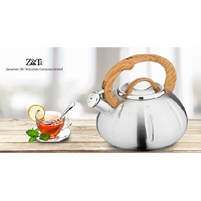 Stainless steel kettle_(24)