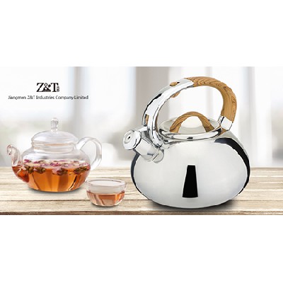 Stainless steel kettle_(26)