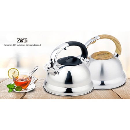 Stainless steel kettle_(1)