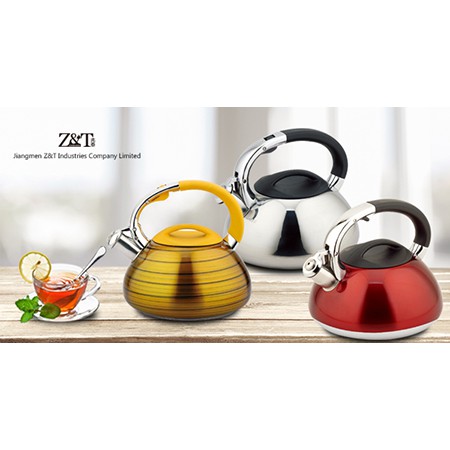 Stainless steel kettle_(2)