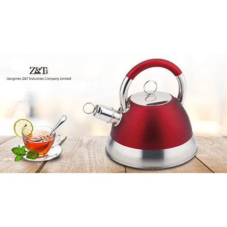 Stainless steel kettle_(4)