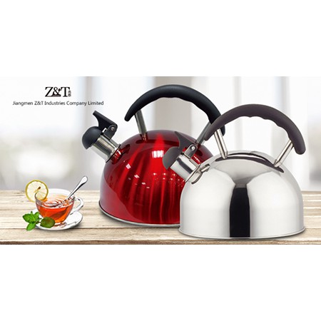 Stainless steel kettle_(7)