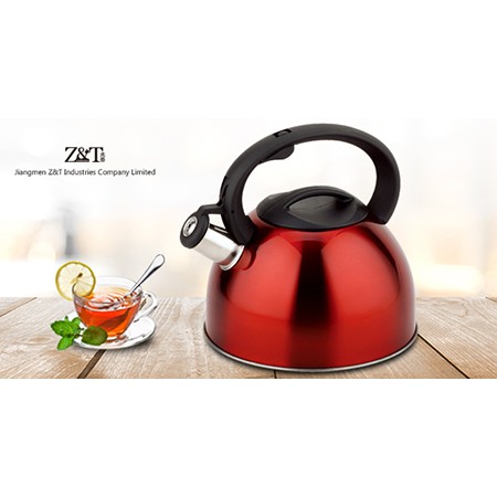 Stainless steel kettle_(11)