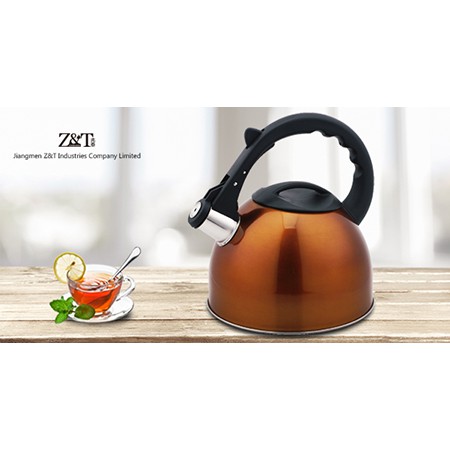Stainless steel kettle_(18)