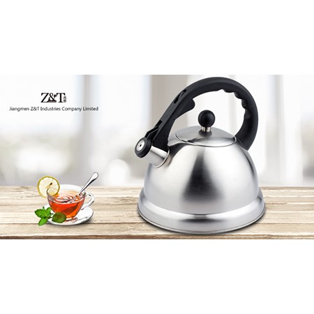 Stainless steel kettle_(19)