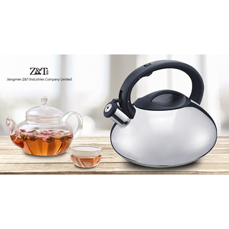 Stainless steel kettle_(22)